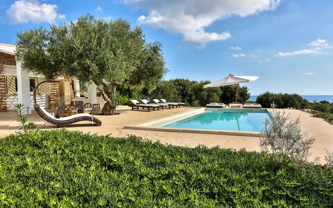 Villa Pajare Francesi 8+2: Home, Estate, Garden, Shade, Villa, Landscaping, Hacienda, Farmhouse, Resort, Mansion