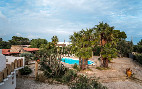 Villa Manco 12: Tree, Resort, Shade, Eco Hotel, Outdoor Furniture, Hacienda, Landscaping, Estate, Tropics