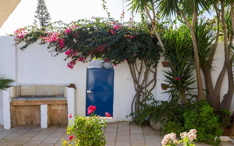 Villa del Lentisco 8+2: Flower, Flowerpot, Shrub, Garden, Houseplant, Shade, Landscaping, Yard, Courtyard