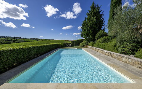 Casale dei 12: Blue, Water, Swimming Pool, Shrub, Composite Material, Garden, Hedge, Landscaping, Water Feature