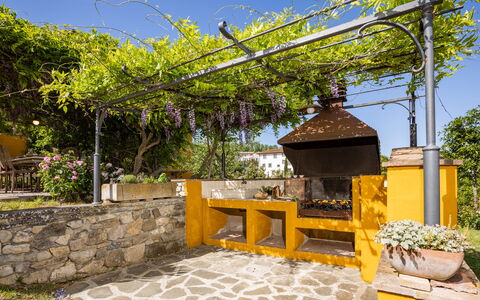 Le Querce dei Medici 12+2: Garden, Shade, Flowerpot, Hacienda, Backyard, Landscaping, Yard, Outdoor Structure, Eco Hotel, Houseplant