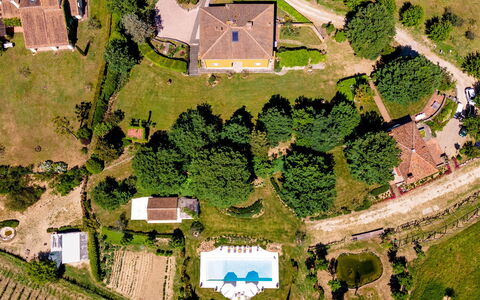 Le Querce dei Medici 12+2: Tree, House, Residential Area, Landscape, Land Lot, Rural Area, Home, Plain, Human Settlement, Estate
