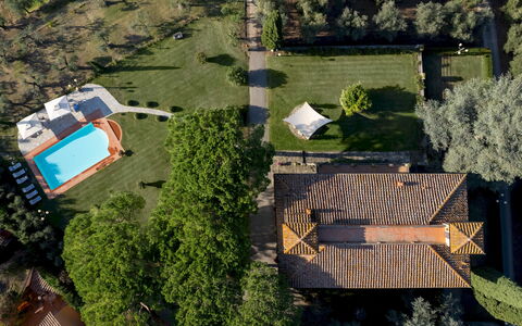 Villa Beltrami 14: Tree, Landscape, Residential Area, Estate, Land Lot, Garden, Swimming Pool, Lawn, Landscaping, Hacienda