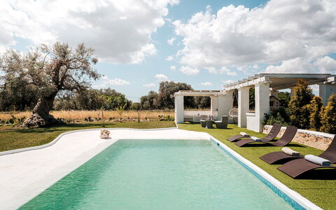 White Stone House 6+1: Swimming Pool, Estate, Garden, Lawn, Landscaping, Shade, Hacienda, Villa, Backyard, Yard