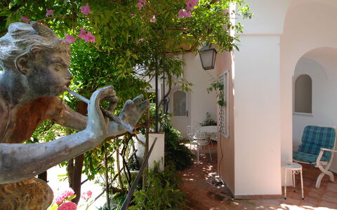 Casa Maria 6+2: Shrub, Garden, Spring, Flowerpot, Hacienda, Houseplant, Yard, Shade, Vacation