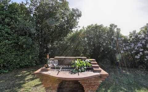 Virginia 8: Wood, Shrub, Garden, Outdoor Furniture, Trunk, Landscaping, Outdoor Bench, Outdoor Table, Backyard, Park