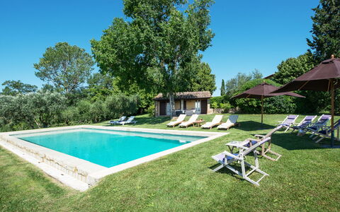 Podere Gragnano 12: Tree, House, Home, Land Lot, Estate, Farmhouse, Cottage, Garden, Lawn, Swimming Pool