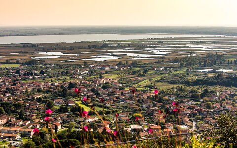 Il Ciliegio sul Lago 6: Residential Area, Bird'S-Eye View, Aerial Photography, Landscape, Neighbourhood, Suburb, Urban Design, Field, Village, Plantation