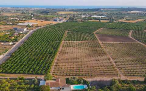 Il Giardino dei Limoni 8: Bird'S-Eye View, Agriculture, Field, Landscape, Plantation, Plain, Land Lot, Aerial Photography, Crop, Farm