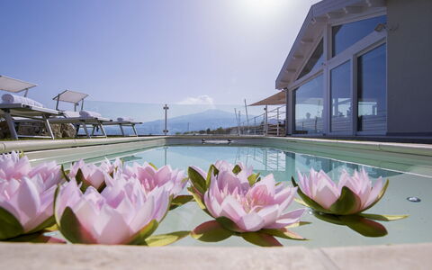 Villa Aura 6: Resort, Swimming Pool, Eco Hotel, Hotel, Villa, Resort Town, Umbrella, Outdoor Furniture, Balcony