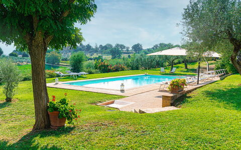 Villa di Morice 14