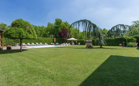 Villa Miki 10: Tree, Grass, Shrub, Garden, Swimming Pool, Land Lot, Leisure, Lawn, Shade, Landscaping