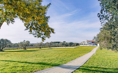 La Perla tra Gli Ulivi 12: Blue, Daytime, Grass, Plain, Landscape, Land Lot, Estate, Meadow, Field, Lawn