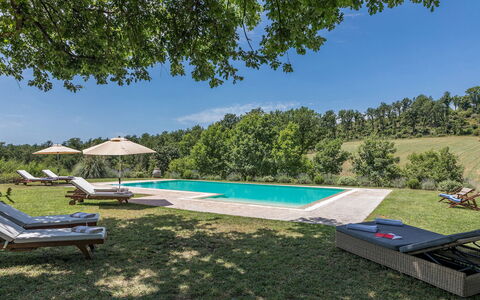 Casale Piattini 10: Garden, Meadow, Landscaping, Swimming Pool, Lawn, Estate, Plantation, Park, Outdoor Furniture, Farmhouse