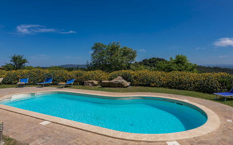 Podere San Ansano 14+2: Blue, Swimming Pool, Resort, Outdoor Furniture, Eco Hotel, Hacienda, Landscaping, Estate, Shade, Farmhouse