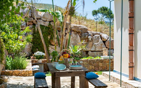 Villa Olimpia 6+2: Flowerpot, Garden, Chair, Outdoor Furniture, Landscaping, Flagstone, Backyard, Houseplant, Patio, Natural Material
