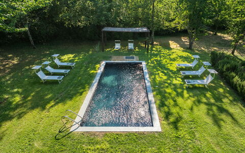 Casale dei Tigli 8: Swimming Pool, Garden, Lawn, Landscaping, Backyard, Outdoor Furniture, Park, Water Feature, Shade, Yard