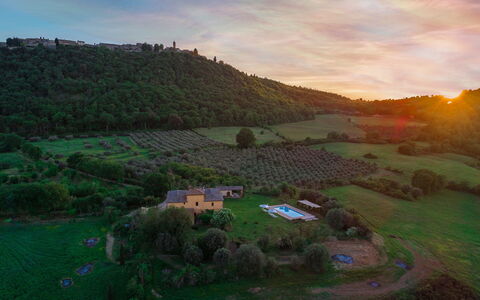 Podere Pratovecchio 14+2: Landscape, Rural Area, Grassland, Land Lot, Human Settlement, Village, Field, Plantation, Cottage, Estate