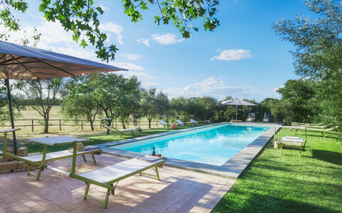 Casale Dell Oasi 12: Garden, Swimming Pool, Leisure, Estate, Landscaping, Park, Shade, Lawn, Outdoor Furniture, Resort