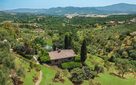 Casa di Pan 6: Tree, Vegetation, Natural Landscape, Landscape, Hill, Highland, Rural Area, Shrub, Grassland, Plant Community