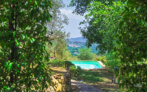 Casa di Pan 6: Shrub, Garden, Landscaping, Backyard, Swimming Pool, Botanical Garden