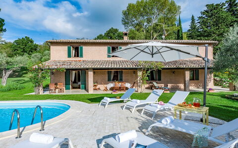 Villa Il Baiocco 8: Swimming Pool, Lawn, Estate, Farmhouse, Villa, Yard, Landscaping, Backyard, Hacienda, Resort