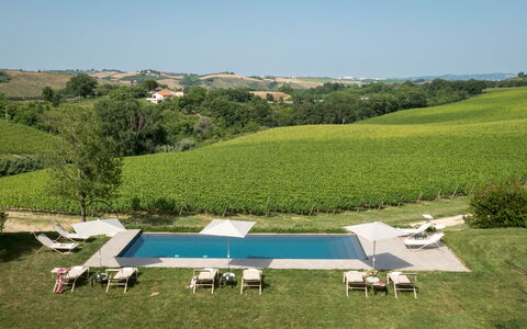 La Casa nei Vigneti 10: Swimming Pool, Sunlounger, Resort, Outdoor Furniture, Umbrella, Estate, Leisure, Eco Hotel, Villa, Landscaping