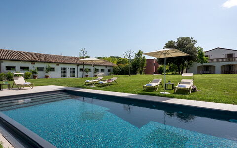 La Casa nei Vigneti 10: Swimming Pool, Estate, Garden, Hacienda, Landscaping, Villa, Farmhouse, Courtyard, Lawn, Shade