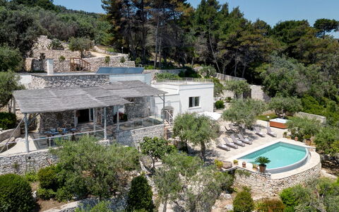 Villa Soleluna 7+1: Tree, House, Home, Estate, Cottage, Landscaping, Eco Hotel, Villa, Resort