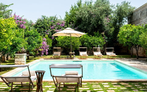 Masseria Tarsia Incuria 8+4: Swimming Pool, Outdoor Furniture, Resort, Furniture, Flowerpot, Eco Hotel, Garden, Chair, Composite Material, Backyard