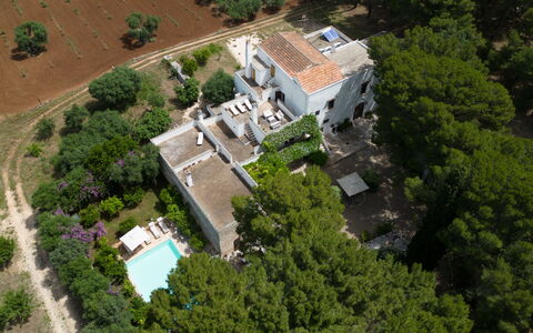 Masseria Tarsia Incuria 8+4: Tree, Residential Area, Home, Estate, Bird'S-Eye View, Human Settlement, Aerial Photography, Suburb, Design, Villa