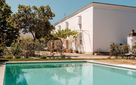 Masseria Profilo 8: Estate, Garden, Shade, Swimming Pool, Hacienda, Yard, Landscaping, Backyard, Courtyard, Villa