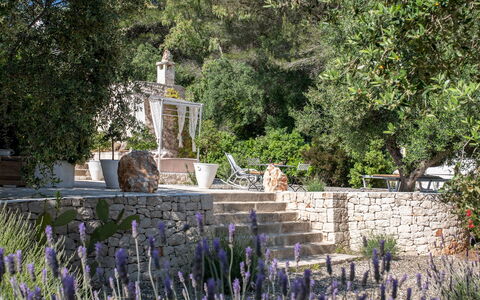Pigreco 6+2: Shrub, Garden, Landscaping, Backyard, Botanical Garden, Yard, Flowerpot