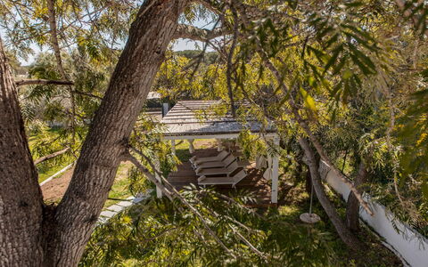 Casa Valentina 6: Branch, Tree, Leaf, Wood, Vegetation, Twig, Trunk, Spring, Woody Plant, Sunlight