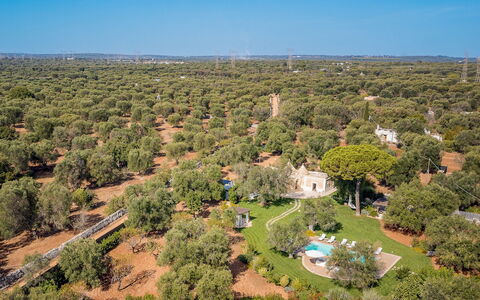 Trulli Biancapetra 8+2: Tree, Nature, Natural Environment, Vegetation, Landscape, Land Lot, Bird'S-Eye View, Plain, Aerial Photography