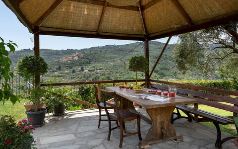 Villa Vittorio 6+2: Furniture, Outdoor Furniture, Table, Outdoor Table, Chair, Shade, Garden, Outdoor Structure, Flowerpot, Eco Hotel