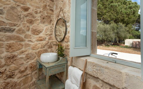 Palmento San Lorenzo 6: Wall, Plumbing Fixture, Stone Wall, Sink, Houseplant, Tap, Bathroom Sink, Plumbing, Flowerpot, Bathroom