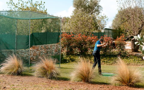 Villa Belkis 6: Shrub, Garden, Recreation, Leisure, Lawn, Landscaping, Botanical Garden, Backyard