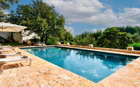 Villa Giari 8: Swimming Pool, Outdoor Furniture, Resort, Leisure, Water Feature, Chair, Sunlounger, Flagstone, Landscaping, Backyard