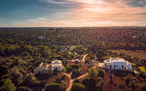 Borgo Dell'Agrumeto 8: Tree, Nature, Horizon, Landscape, Bird'S-Eye View, Aerial Photography, Sunlight, Estate, Plantation, Shrubland