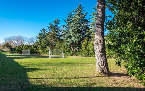 Villa Isotta 8+4: Blue, Grass, Tree, Land Lot, Lawn, Meadow, Garden, Landscaping, Larch, Park