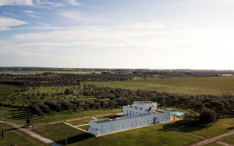 Masseria Samali 14+4: Daytime, Grass, Plain, Landscape, Grassland, Land Lot, Rural Area, Estate, Field, Meadow