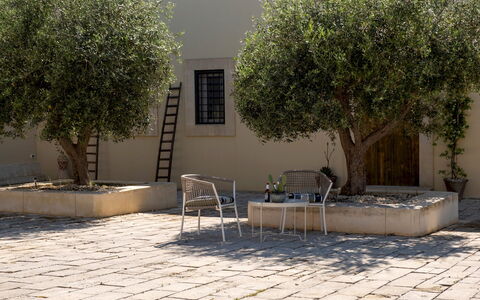 Dimora degli Ulivi 10: Shade, Garden, Flagstone, Woody Plant, Flowerpot, Concrete, Courtyard, Landscaping, Brick, Design