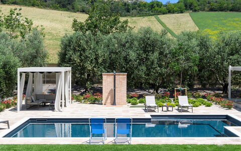 Villino le Moie 4+2: Swimming Pool, Outdoor Furniture, Furniture, Resort, Sunlounger, Garden, Leisure, Chair, Shade, Umbrella
