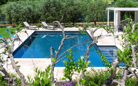 Villino le Moie 4+2: Swimming Pool, Garden, Shade, Resort, Leisure, Water Feature, Landscaping, Outdoor Furniture, Backyard, Eco Hotel