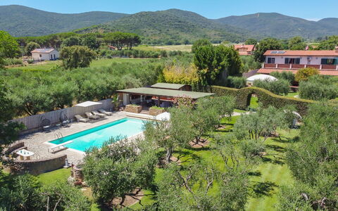 Villa Castiglione 9