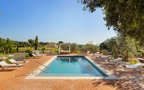 Antico Ceraso 10: Swimming Pool, Resort, Estate, Garden, Hacienda, Eco Hotel, Landscaping, Outdoor Furniture, Sunlounger, Villa