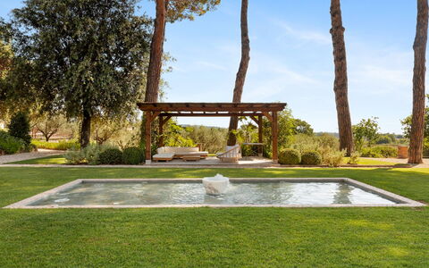 Antico Ceraso 10: Tree, Garden, Shrub, Land Lot, Shade, Landscaping, Lawn, Swimming Pool, Backyard
