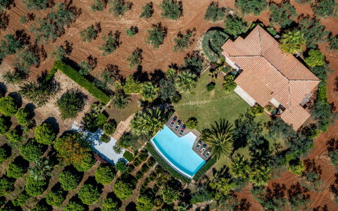 Villa Pineta 6: Tree, Swimming Pool, Landscape, Resort, Estate, Eco Hotel, Garden, Landscaping, Hacienda