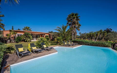 Villa Pineta 6: Blue, Resort, Swimming Pool, Eco Hotel, Shade, Tropics, Estate, Hacienda, Landscaping